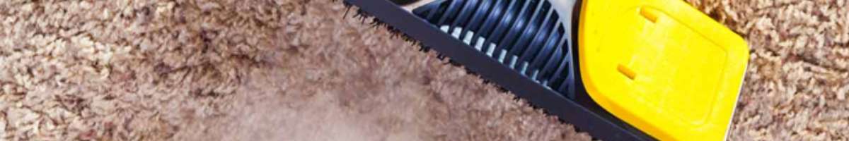 Same Day Carpet Cleaning Sydney Banner