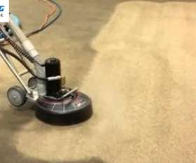 Same Day Carpet Cleaning Sydney