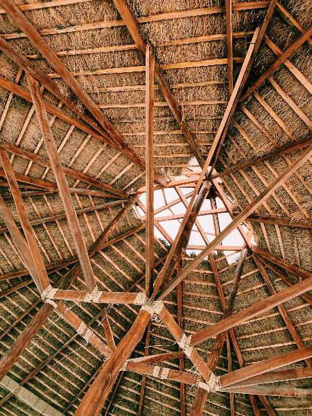 Hiding in the Attic?