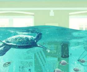 Brisbane Plumber | Pipes Plumbing & Gas