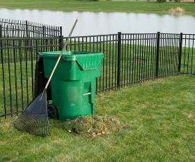 Southside Tree Lopping