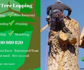 Southside Tree Lopping