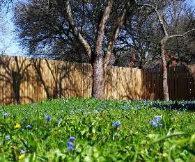 Southside Tree Lopping