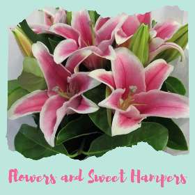 Flowers and Sweet Hampers