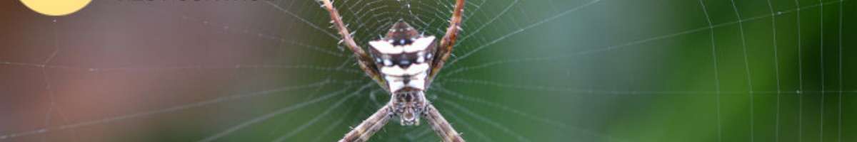 Professional Pest Control Ballarat Banner