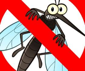 Fast Pest Control Ipswich
