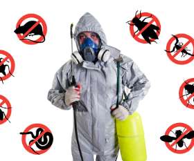 Fast Pest Control Ipswich