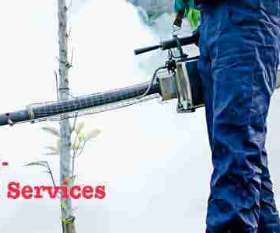 Bepestfree Pest Control Pakenham