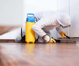 Bepestfree Pest Control Pakenham