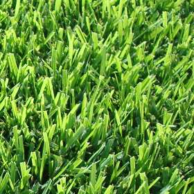 Turfman: Brisbane's Turf Specialists