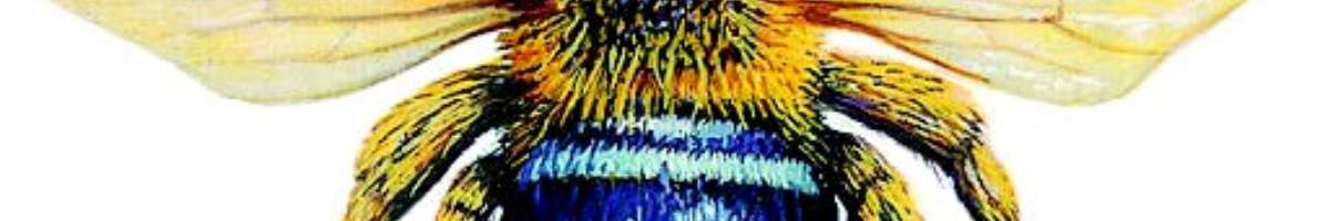 Trusted Pest Control Ballarat Banner