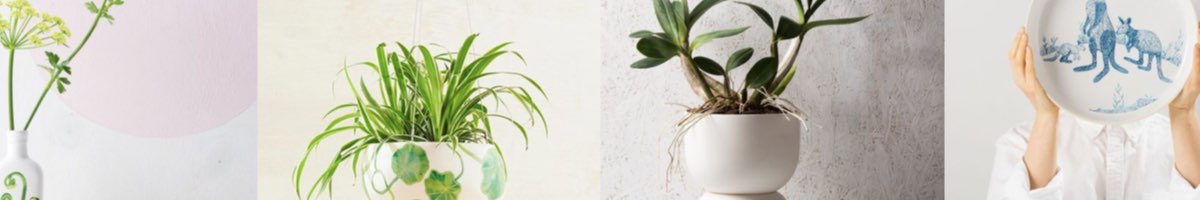 Angus & Celeste Banner