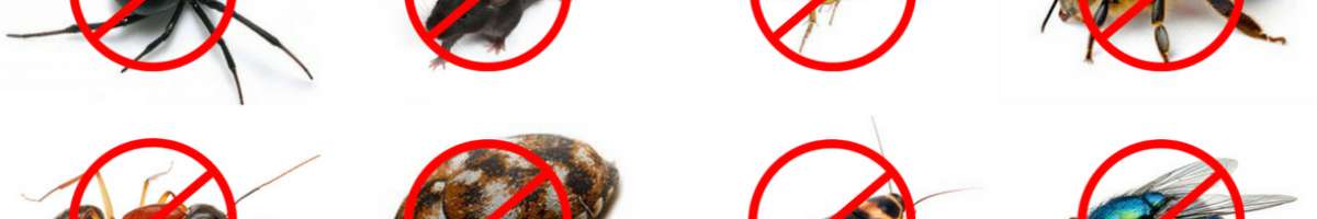 Masters Pest Control Pakenham Banner