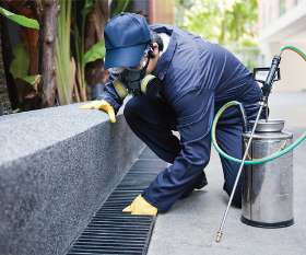 Sparkling Pest  Control Sunshine Coast