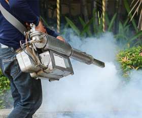 Sparkling Pest  Control Gold Coast