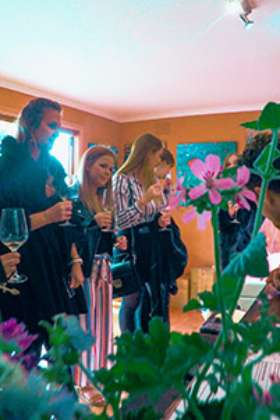 Private Winery Tours Yarra Valley