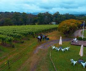 Private Winery Tours Yarra Valley