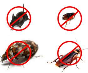 Impressive Pest Control Springfield Lakes