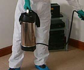 Back 2 New Cleaning Pest Control Toowoomba