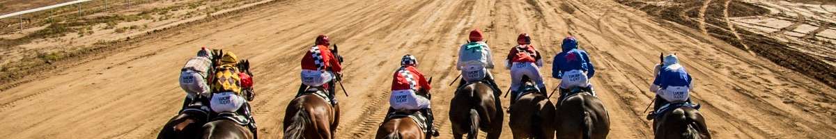 Fast Track Photography Banner
