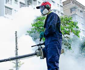 Flea Control Darlington