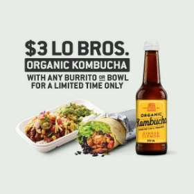 LoBros Organic Kombucha