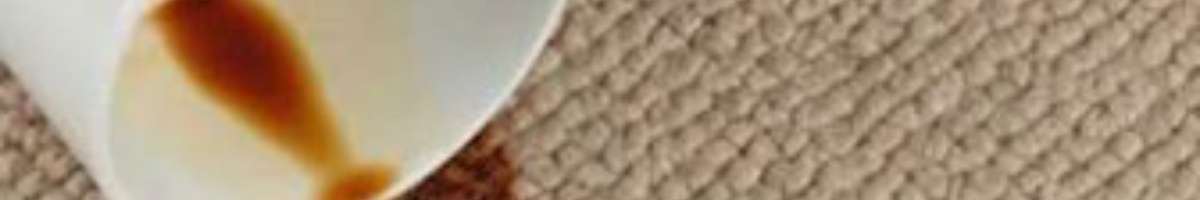 Carpet Cleaning Tarneit Banner