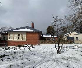 Wise Landscaping and Carpentry