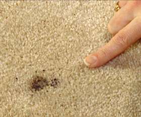 Carpet Repair and Restretching Adelaide