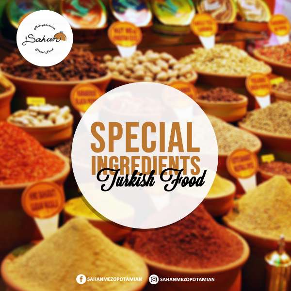 Spend the day at Sahan Mezopotamian