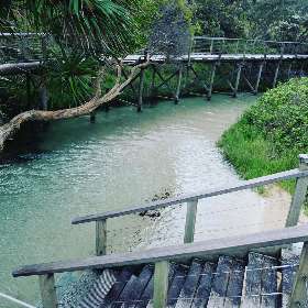 Fraser Island 4x4 Hire