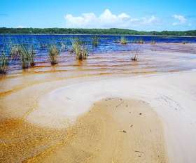 Fraser Island 4x4 Hire