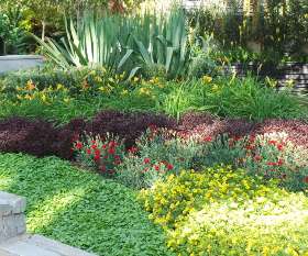 CK Landscape Designs
