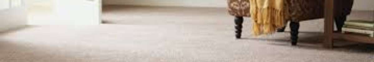 Back 2 New Carpet Cleaning Sydney Banner