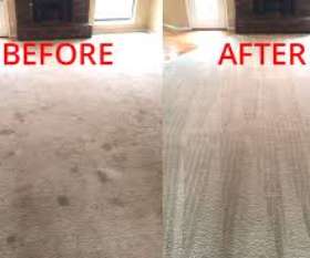 Back 2 New Carpet Cleaning Sydney