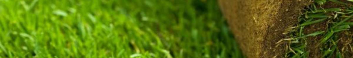 TGI Australia Banner