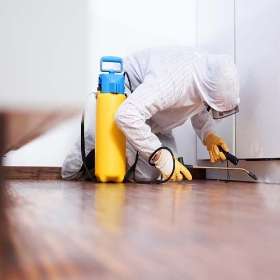 City Pest Control in Kambah