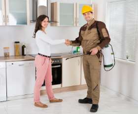 City Pest Control Services