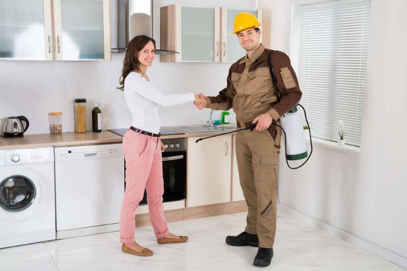 Pest Control in Kambah and Canberra - Professional and Guaranteed Results