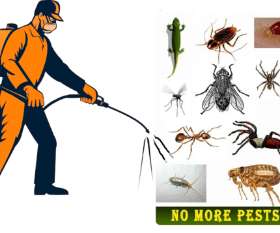 City Pest Control Services