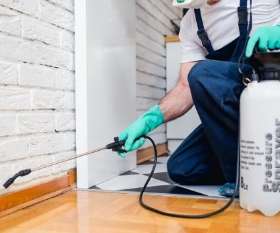 Best Pest Control Service Canberra 