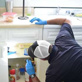 Pest Control Services Canberra 