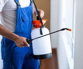 City Pest Control Services Canberra