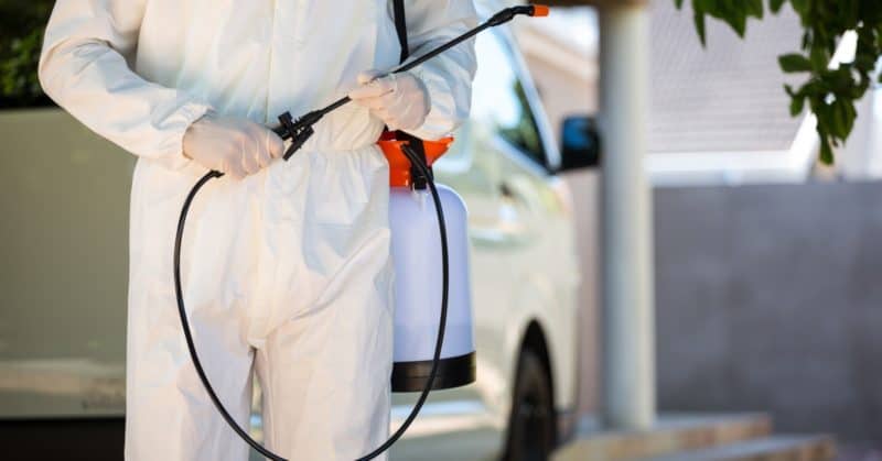 5 Reasons to Hire a Pest Control Company