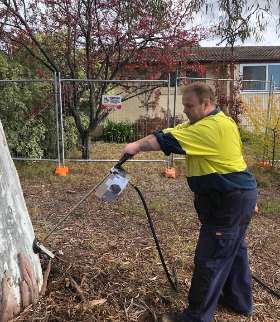 A Professional Pest Control Service in Canberra
