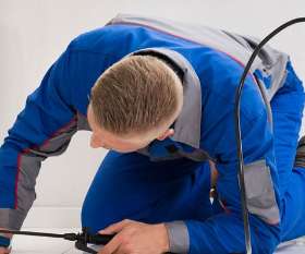 City Pest Control Services in Kambah