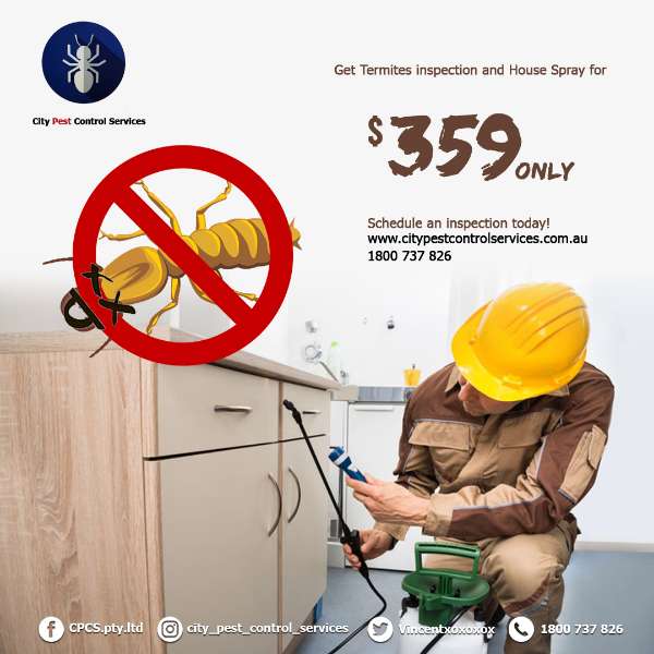 Termites Inspection and House Spray