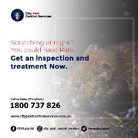 Pest Control Services Canberra
