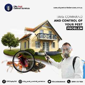 City Pest Control Services Canberra