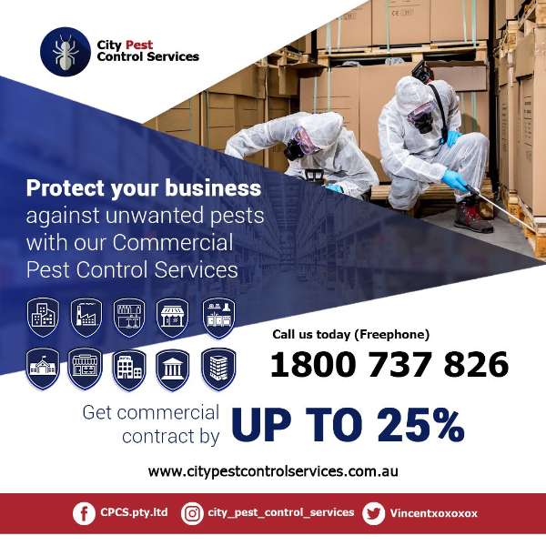 Commercial Contract